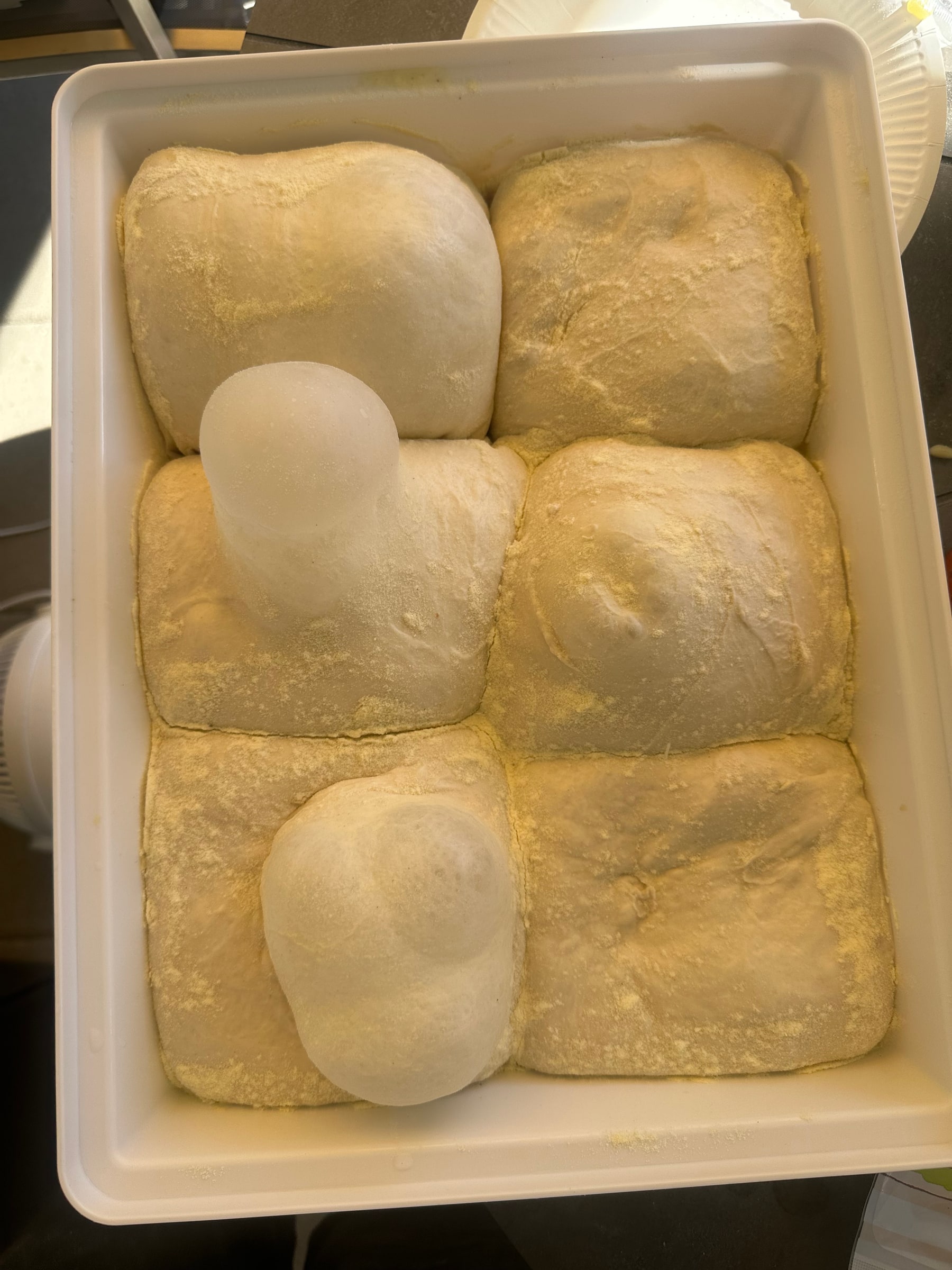 Pizza Guys Teigballen während der langen Reifezeit