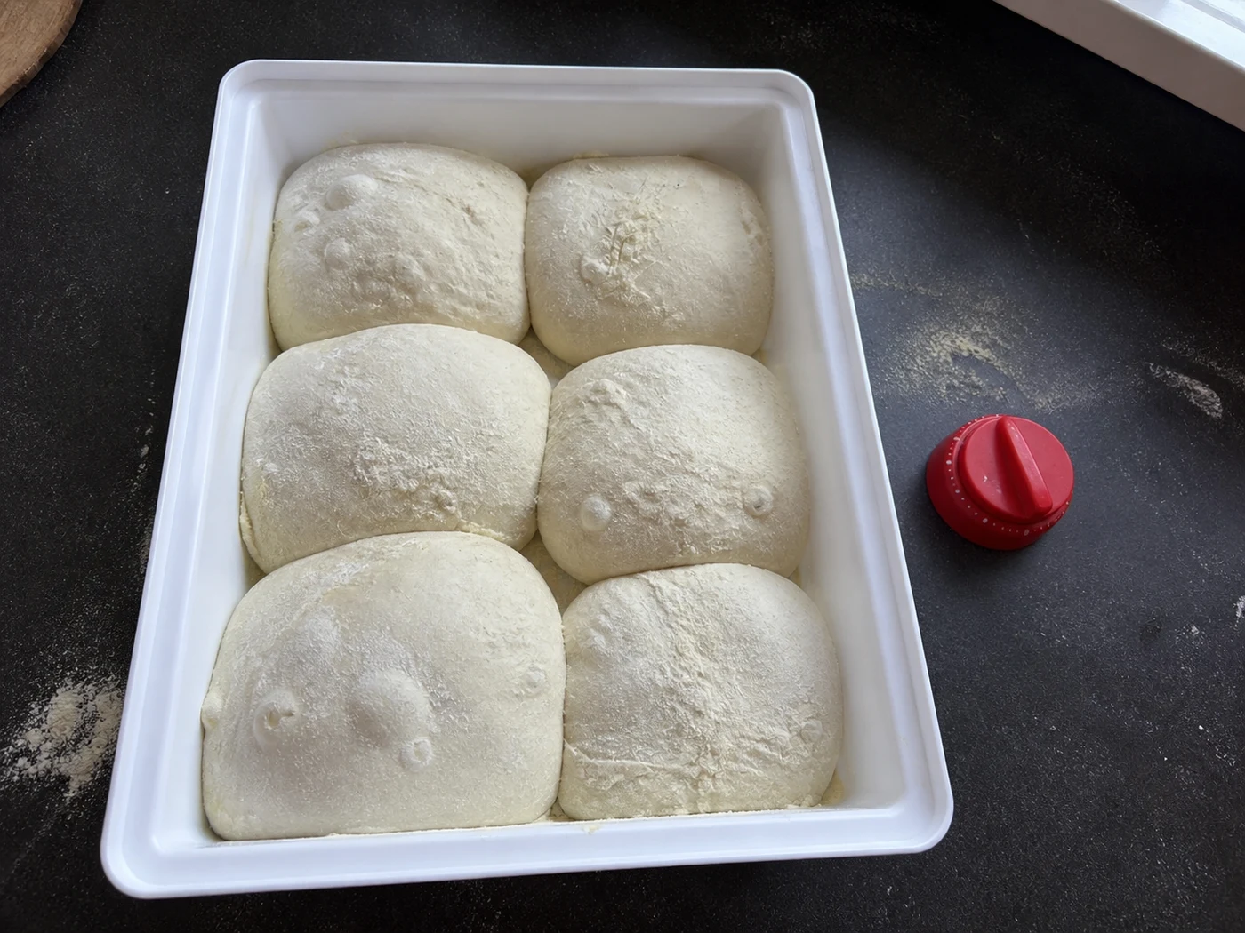 Die ganze Teigbox mit sechs gereiften Pizza-Teigballen